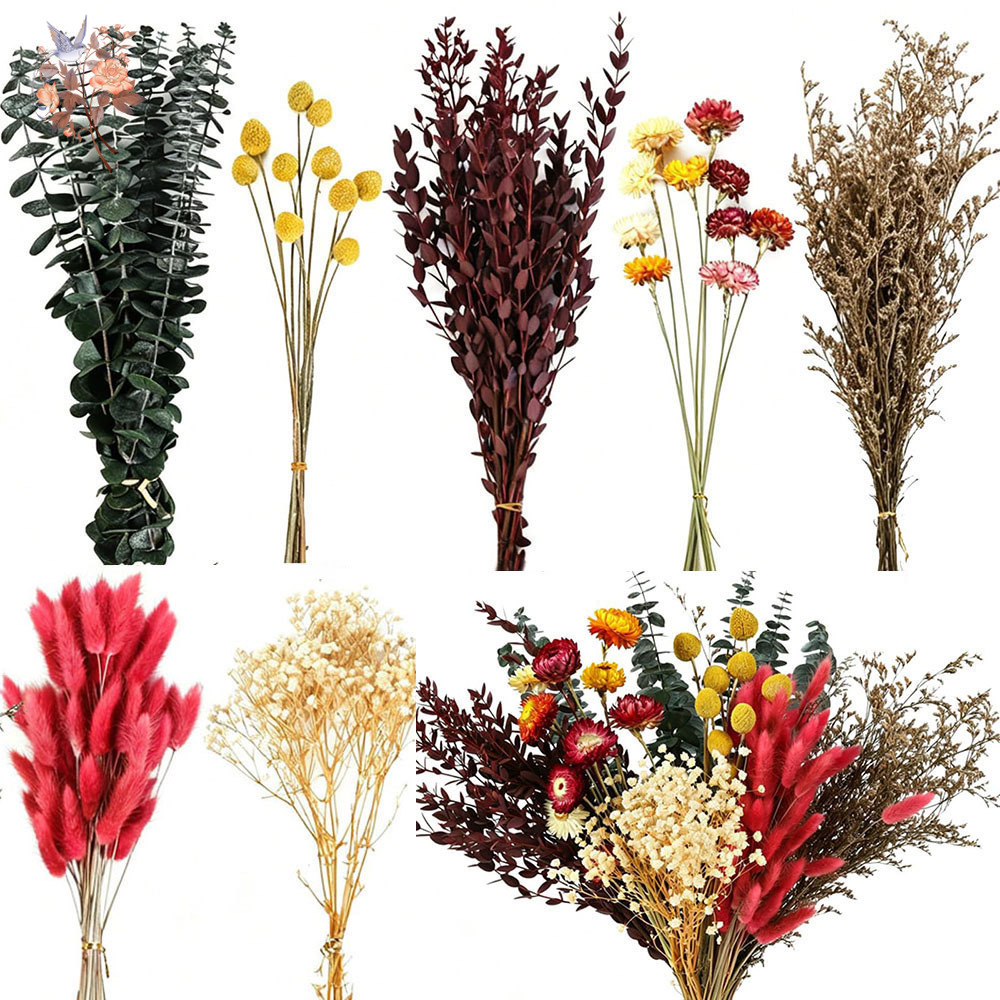 Florist Supply Bulk - Kurutulmuş Çiçeklerden Oluşan 7 Çeşitlik Toplu