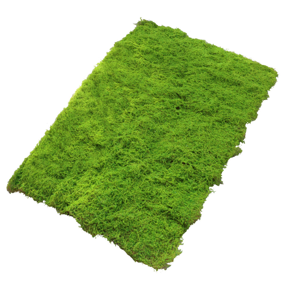Yapay Yosun Çim Matı, Mikro Pe - Preserved Moss Sheet incelemesi ve fiyatı