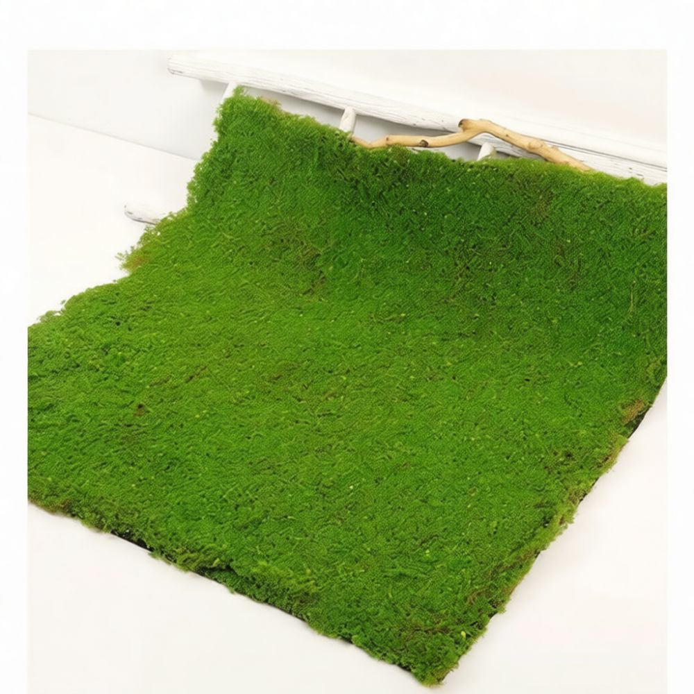 Yapay Yosun Çim Matı, Mikro Pe - Preserved Moss Sheet incelemesi ve fiyatı