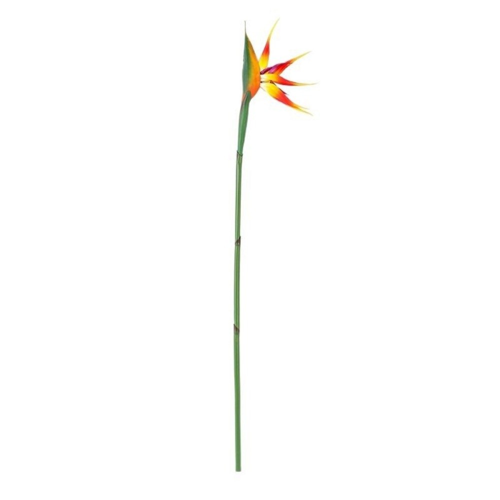 Yeni Uzun Saplı Yapay Cennet K - Florist Supply Bulk incelemesi ve fiyatı